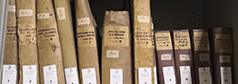 Archivio Storico